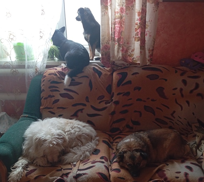 Фото автора. Покрывашку уже замызгали полностью.. 