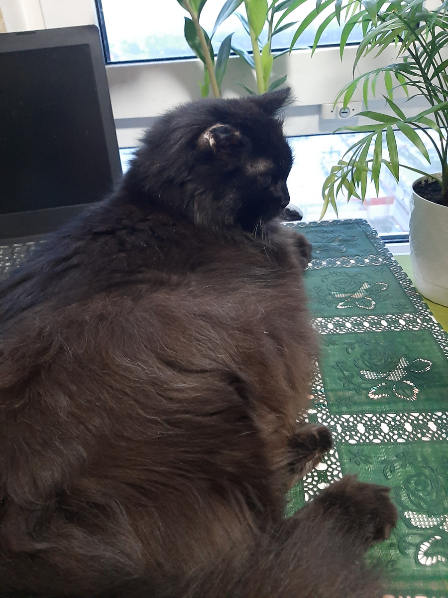 Фото автора