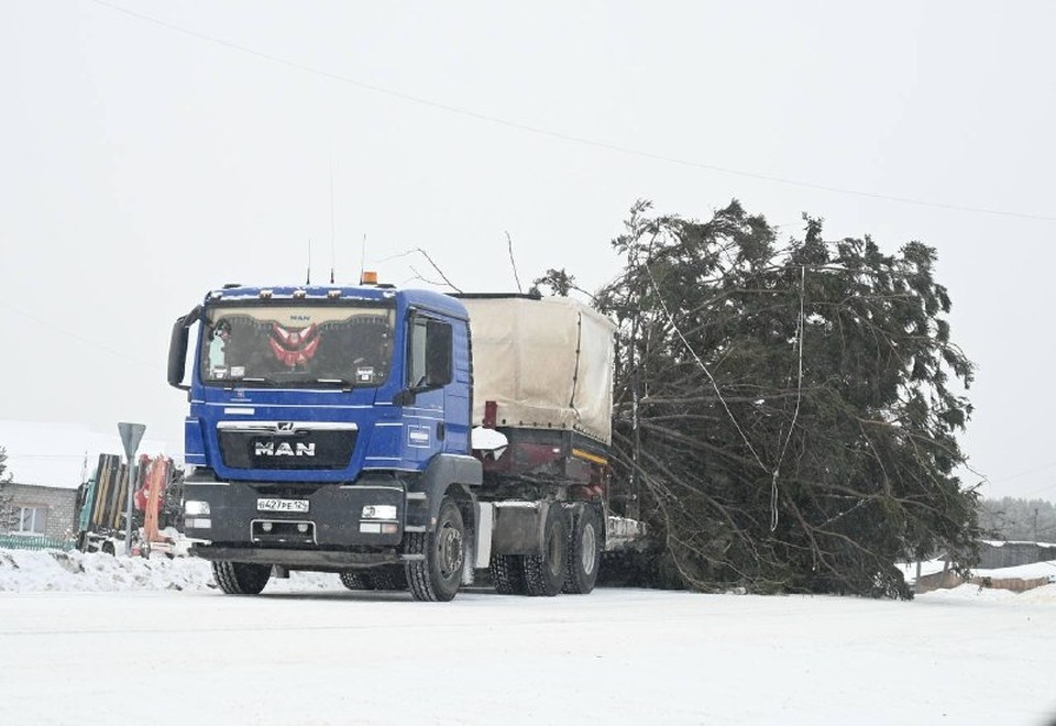    Может, ветки обломались при транспортировке? Фото: администрация Енисейска