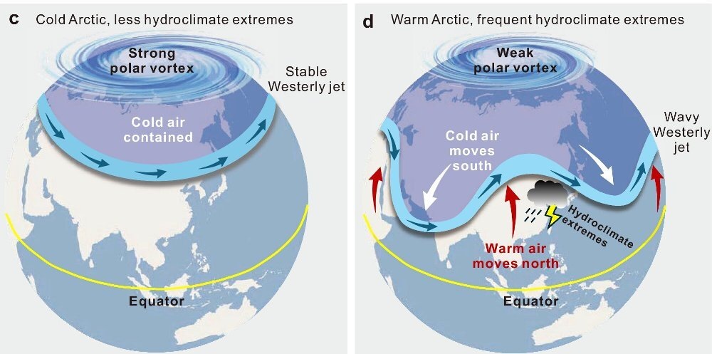     Фото: Liangqing Cheng et al./Nature Communications, 2025