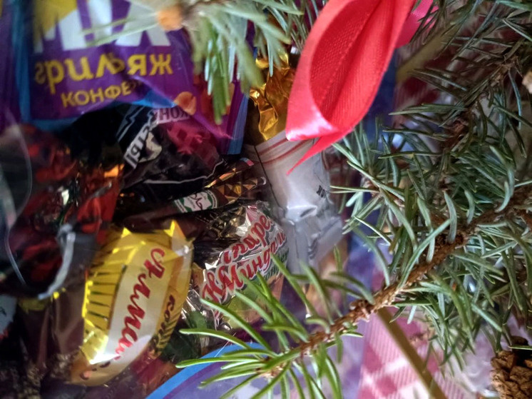     Фото: МК-Кавказ