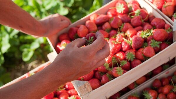    © Sputnik / Ksenia Sidorova