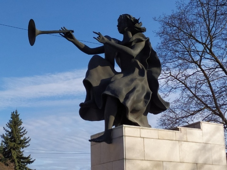     фото: мк в вологде