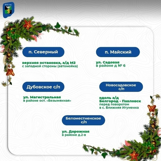     фото: vk.com/id537951051