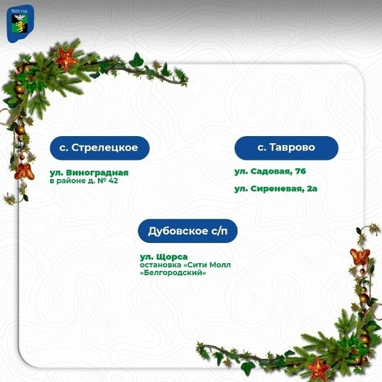     фото: vk.com/id537951051