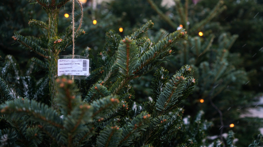    Фото: ИЗВЕСТИЯ/Анна Селина