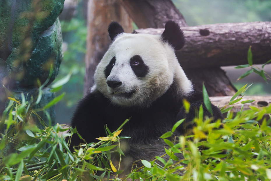    Наталья Шатохина/NEWS.ru