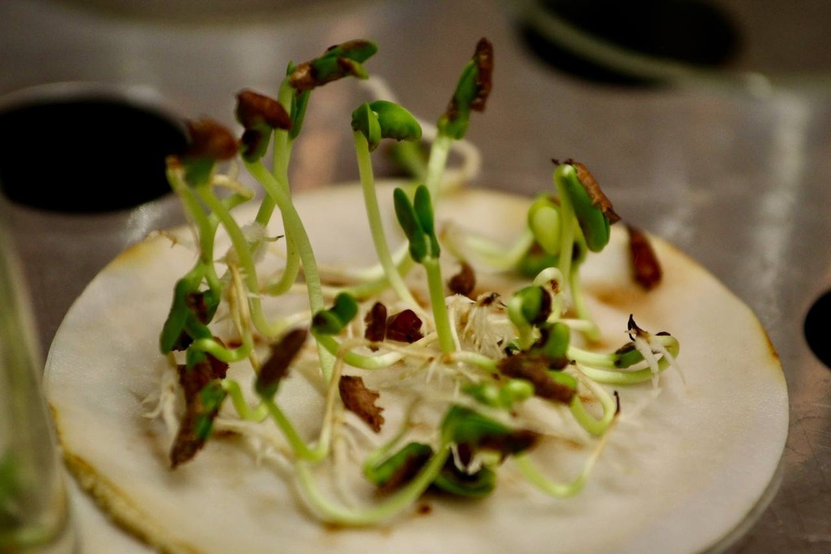    Фото Минприроды Самарской области