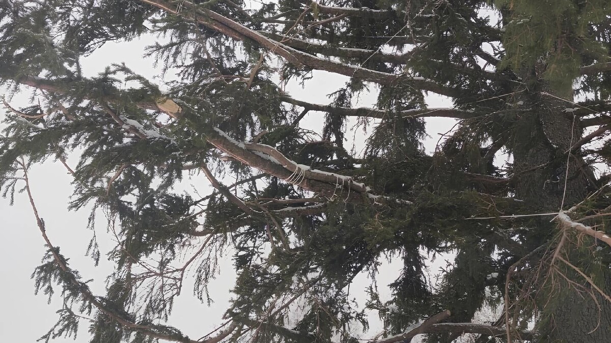     Источник: vk.com/sluhi_eniseyska