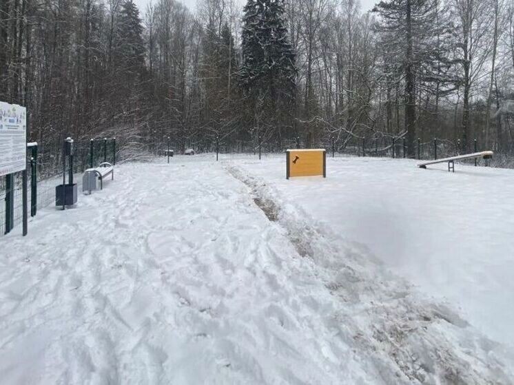     Фото: киров.рф