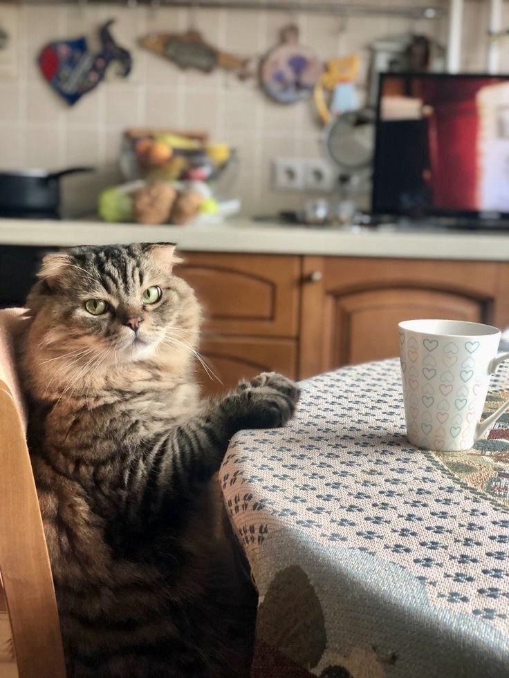 иллюстрация из яндекс картинки.