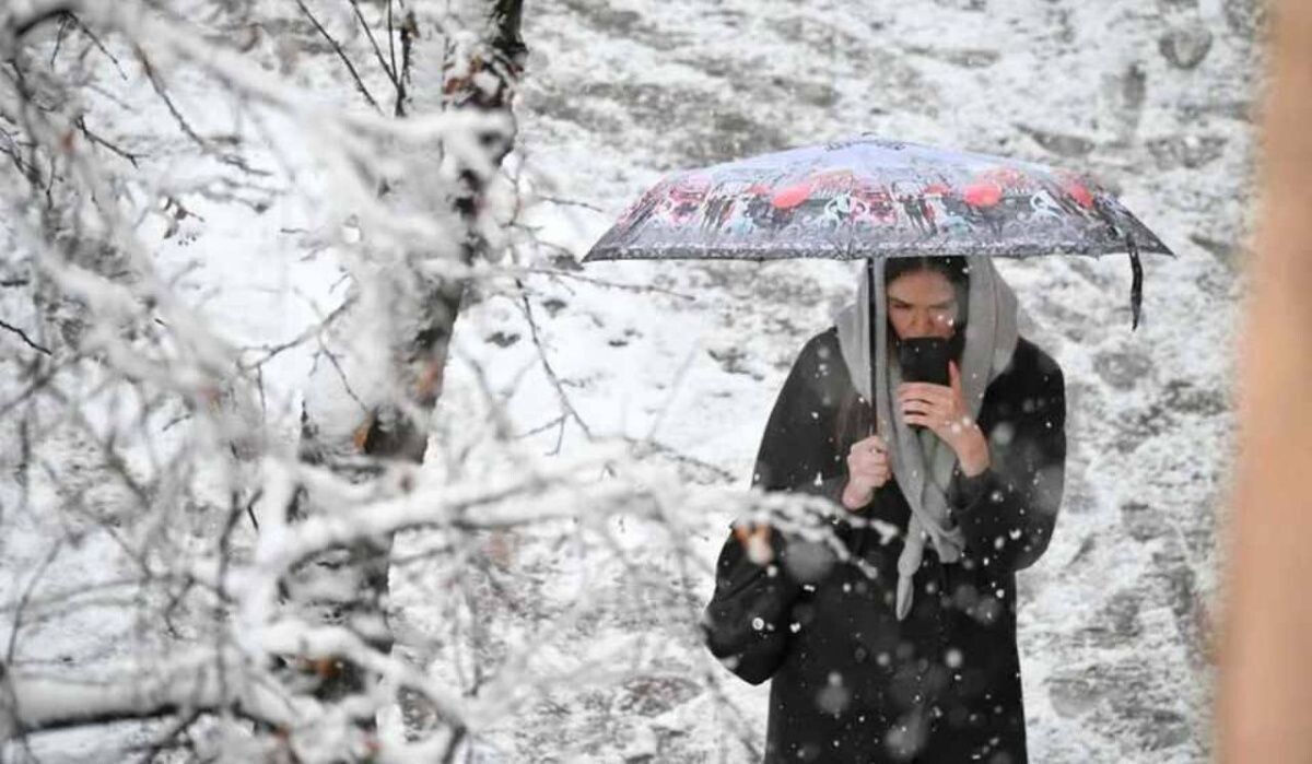     Девушка под зонтом во время снегопада. Источник: spb.kp.ru Автор фото: Алексей Булатов