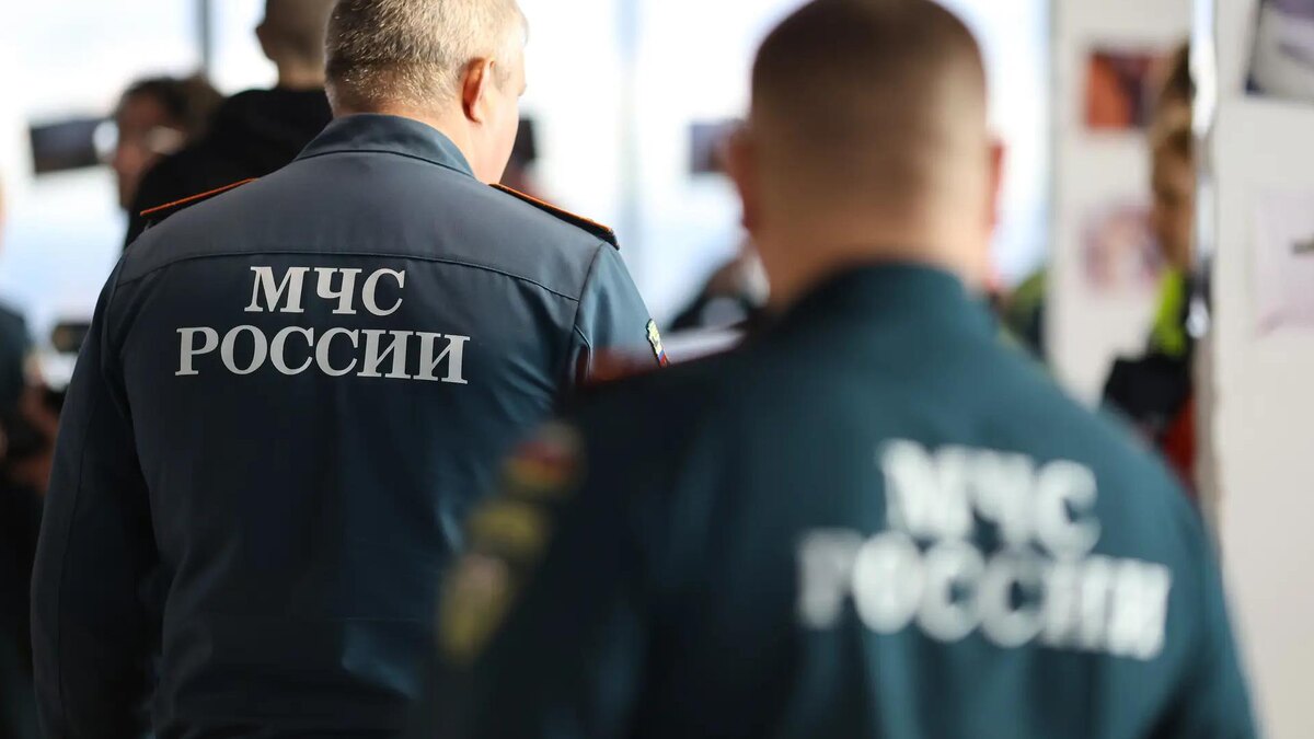    Фото: ИЗВЕСТИЯ/Евгений Павлов