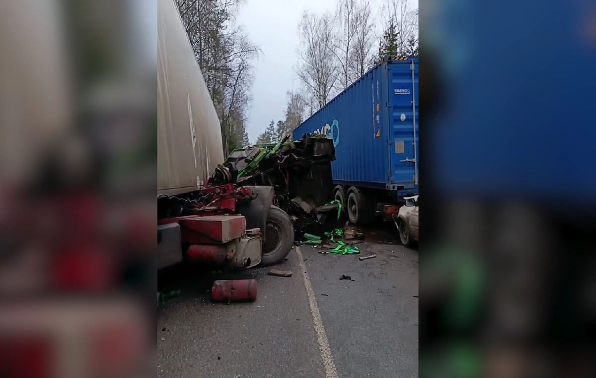     / Источник: Кадр из видео