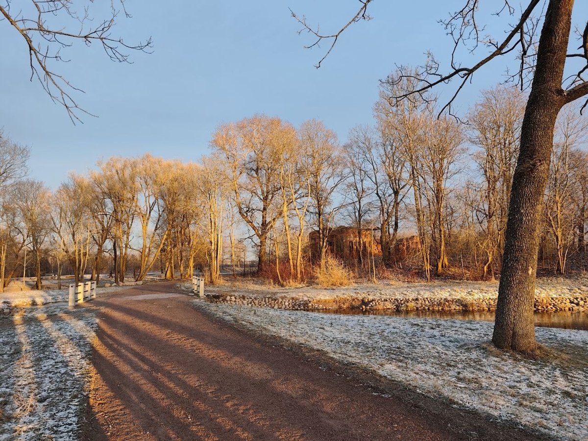 Луговой парк, декабрь 2025 г. // Источник фото: ЖК «Экография. Квартал у Петергофа», застройщик ГК «Охта Групп»