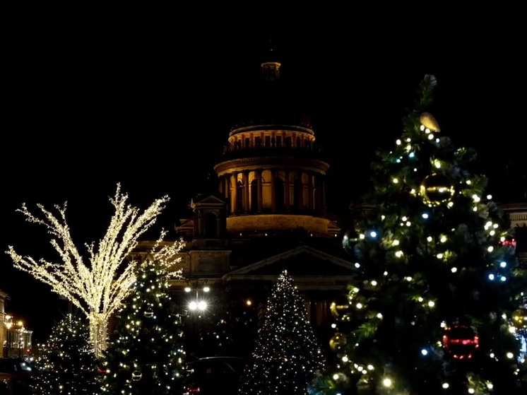     Фото: пресс-служба комитета по энергетике Петербурга.