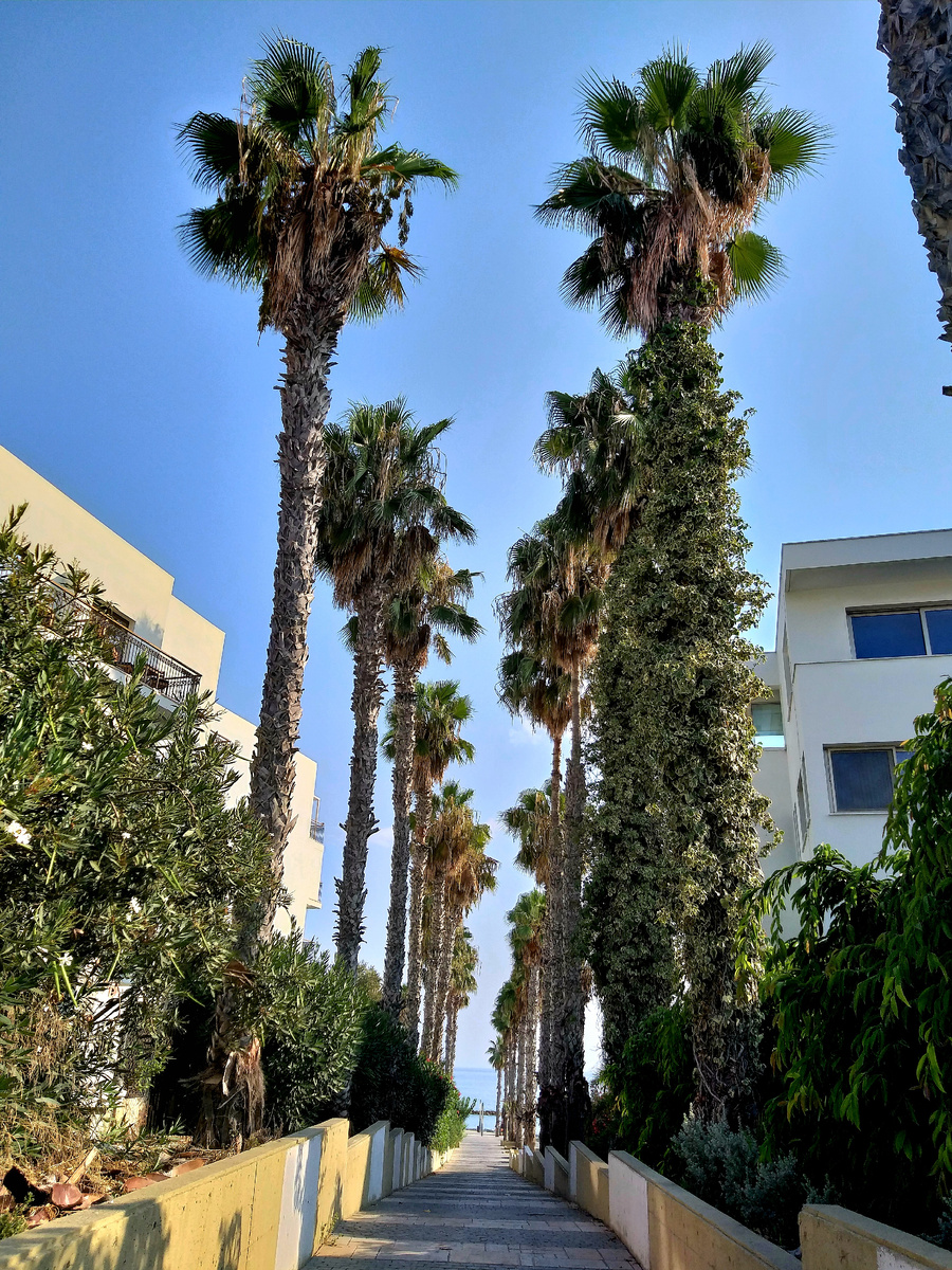 Кипр. Фото автора статьи..