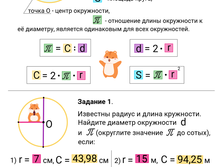 🐹 Тренажёр «Длина окружности и площадь круга