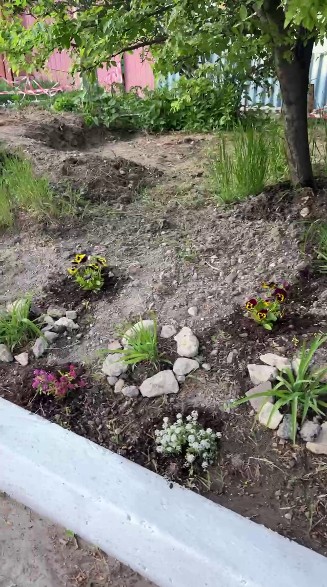 Рудбекия – канал про цветы. Как оформить край грядки, чтобы цветение было весь сезон?