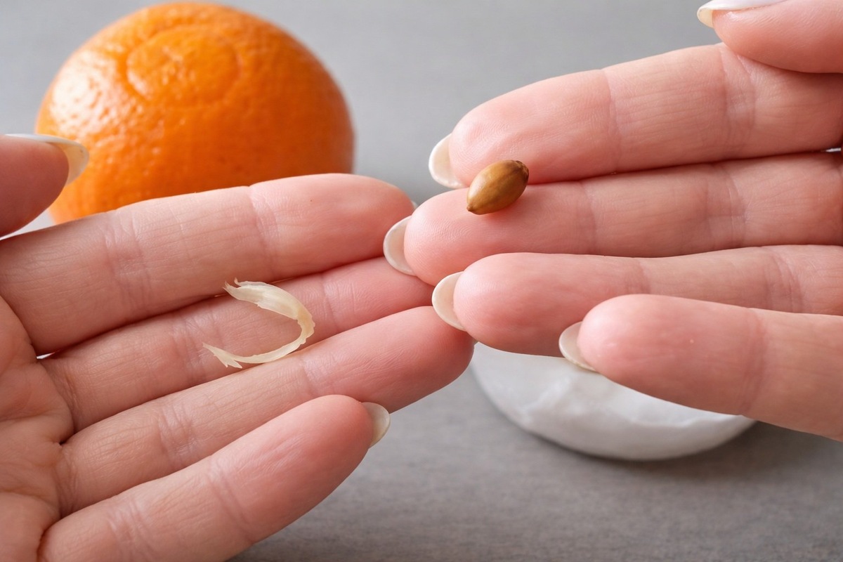    Мандариновые косточки можно посадить и вырастить дерево