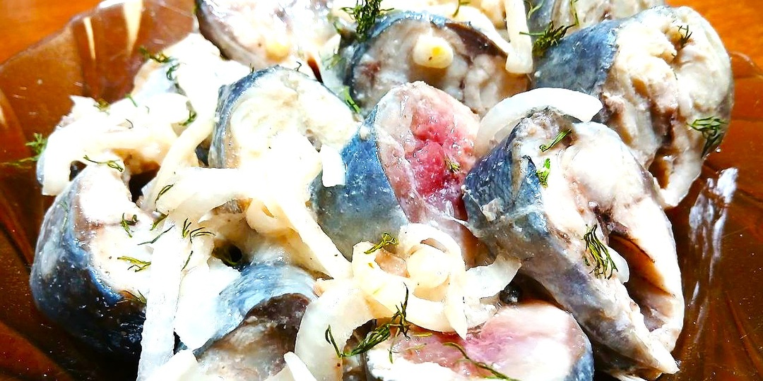 Маринованная скумбрия «Быстро и вкусно»