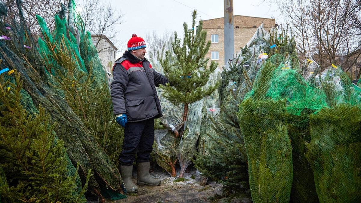    Фото: Дмитрий Белицкий / АГН Москва