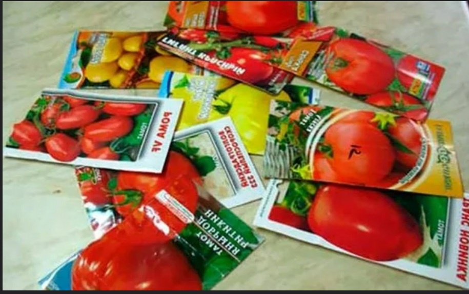 Четыре тысячи рублей за пятнадцать пакетиков - дорогой урок