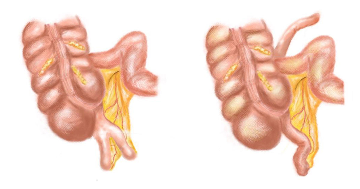 Pujanwita Das Majumder