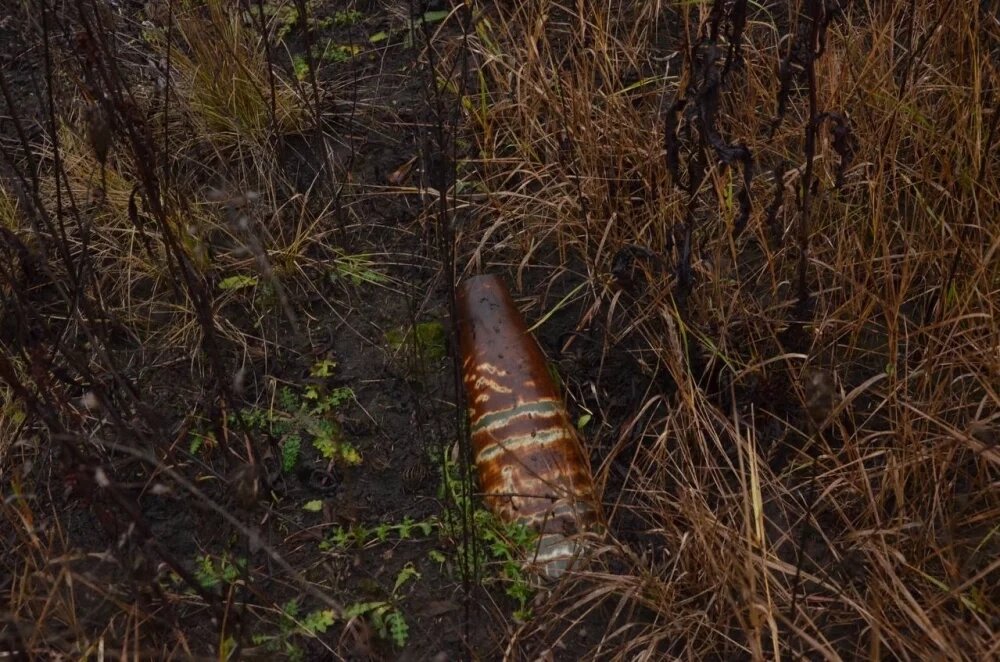    Неразорвавшийся снаряд. Фото: АиФ в Туле/ Ярослав Соколов