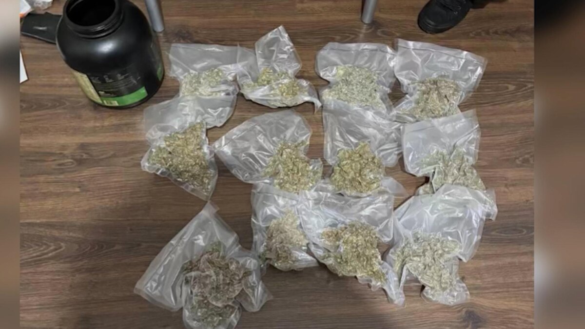    Фото: пресс-служба ГУ МВД России по Петербургу и Ленобласти