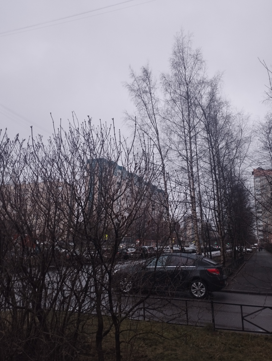 Мир живой графики