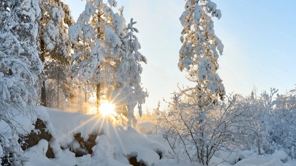    Фото: Lexis_Jan/Shutterstock/Fotodom