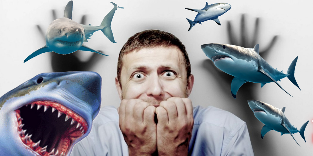 5 отелей Хургады с защитными сетками от акул и 3 железных правила. Плавай спокойно!