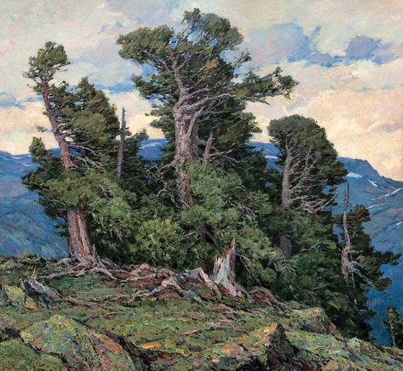 Тойво Ряннель. Горные кедры