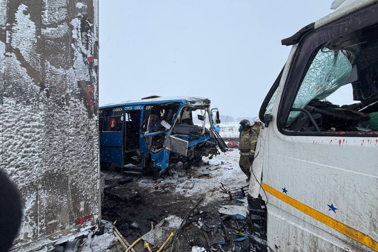     / Источник: © УМВД Омской области