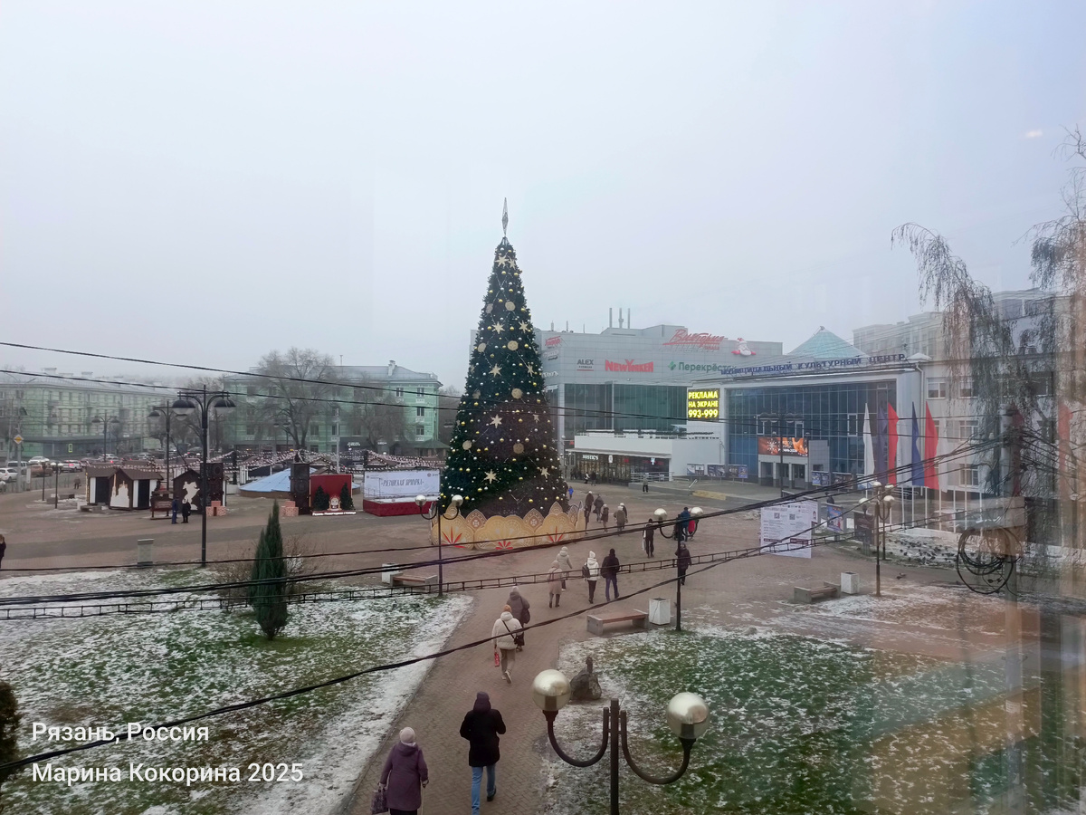 Фото автора. Сегодня туманно. 20.12.2025