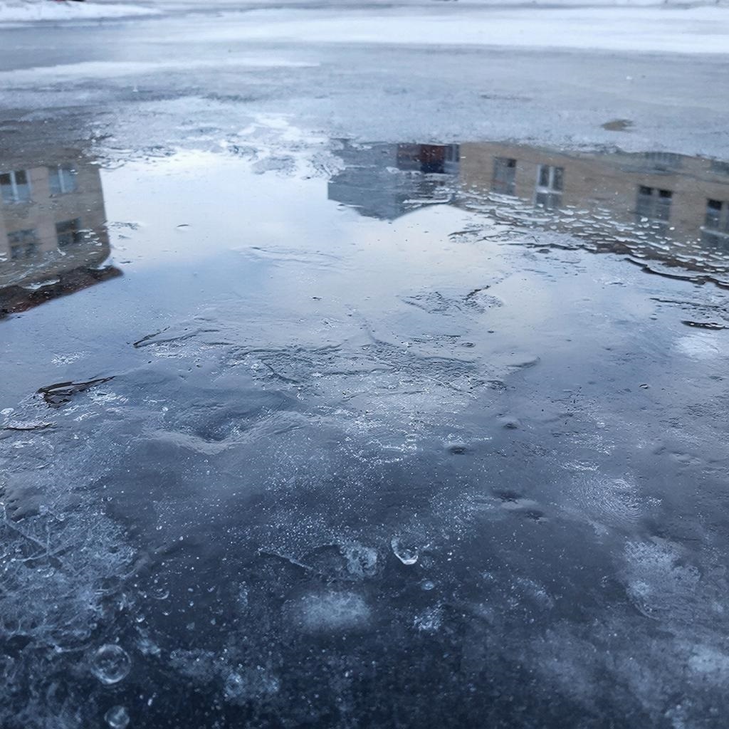 Осень закончилась и грачи улетели