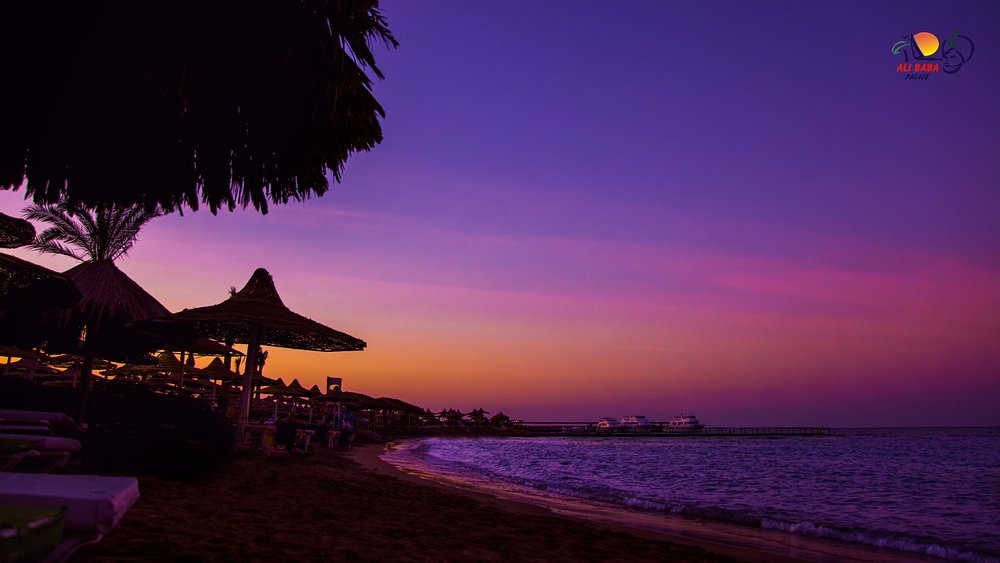 Красное море. Пляж отеля "Али-баба Палас" 