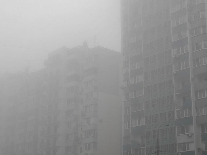    Фото: Юрий Серебренников/BFM Кубань