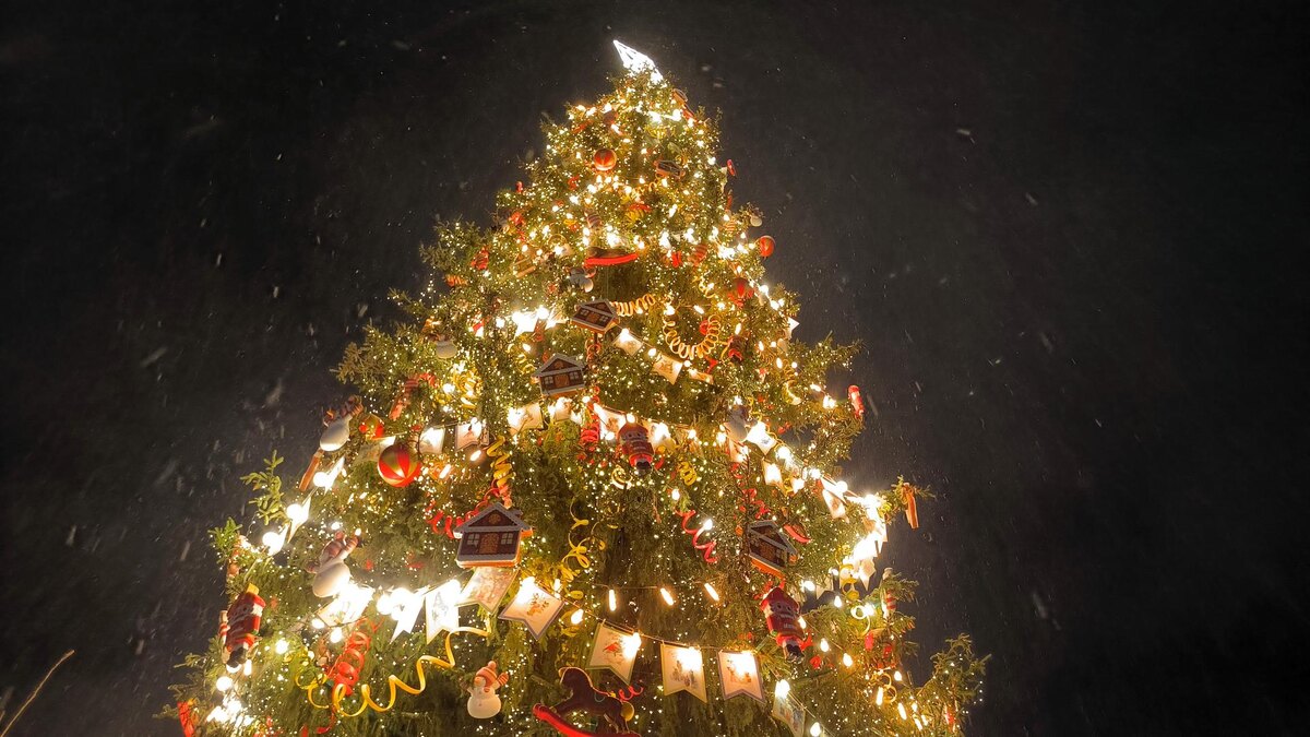    Фото: globallookpress.com/Maksim Konstantinov