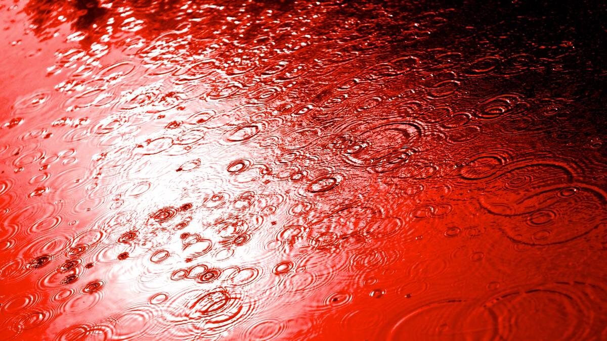    Фото: Shutterstock