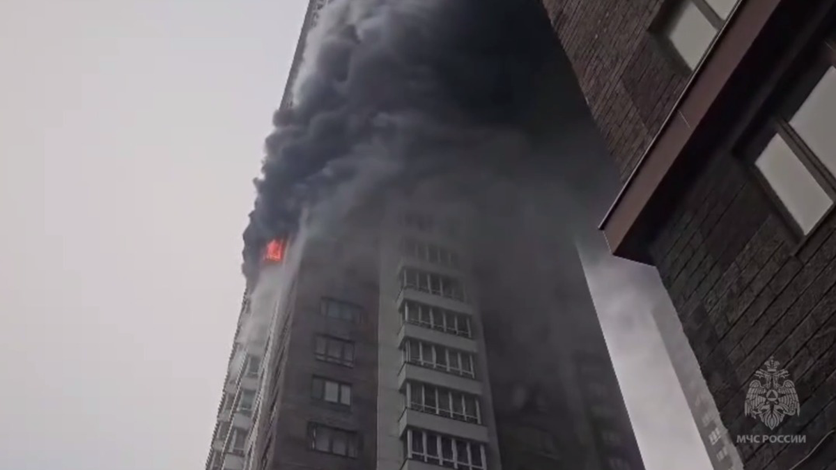    Фото: Telegram / МЧС Москвы