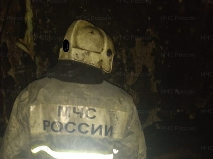     Фото: ГУ МЧС России по Свердловской области