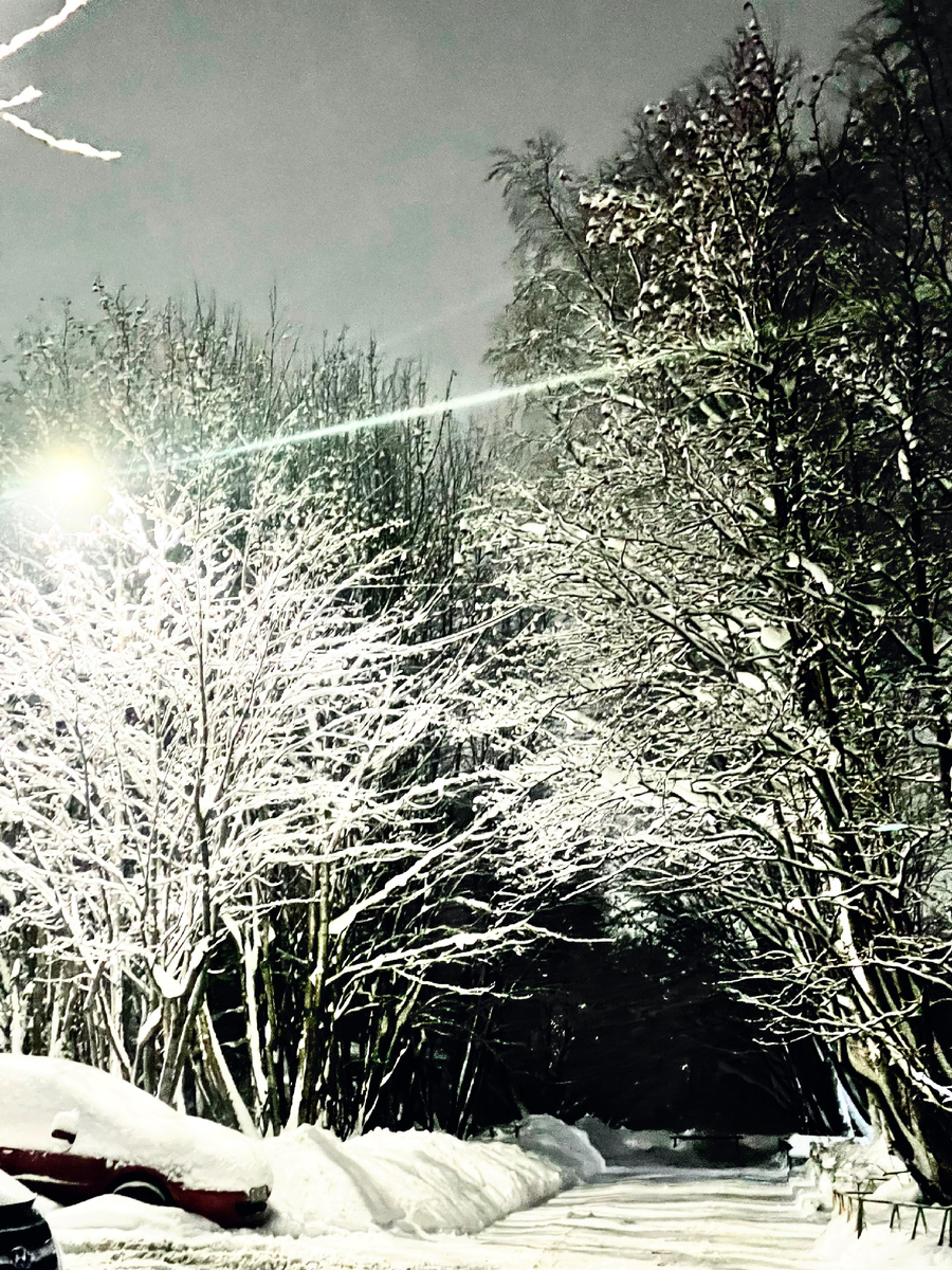 Фото сегодняшнего дня 