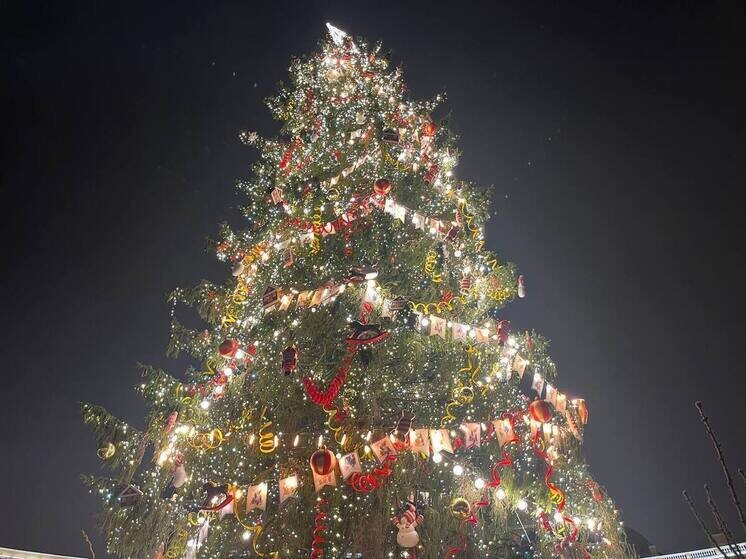     Фото: МК в Питере / Камилла Латыпова