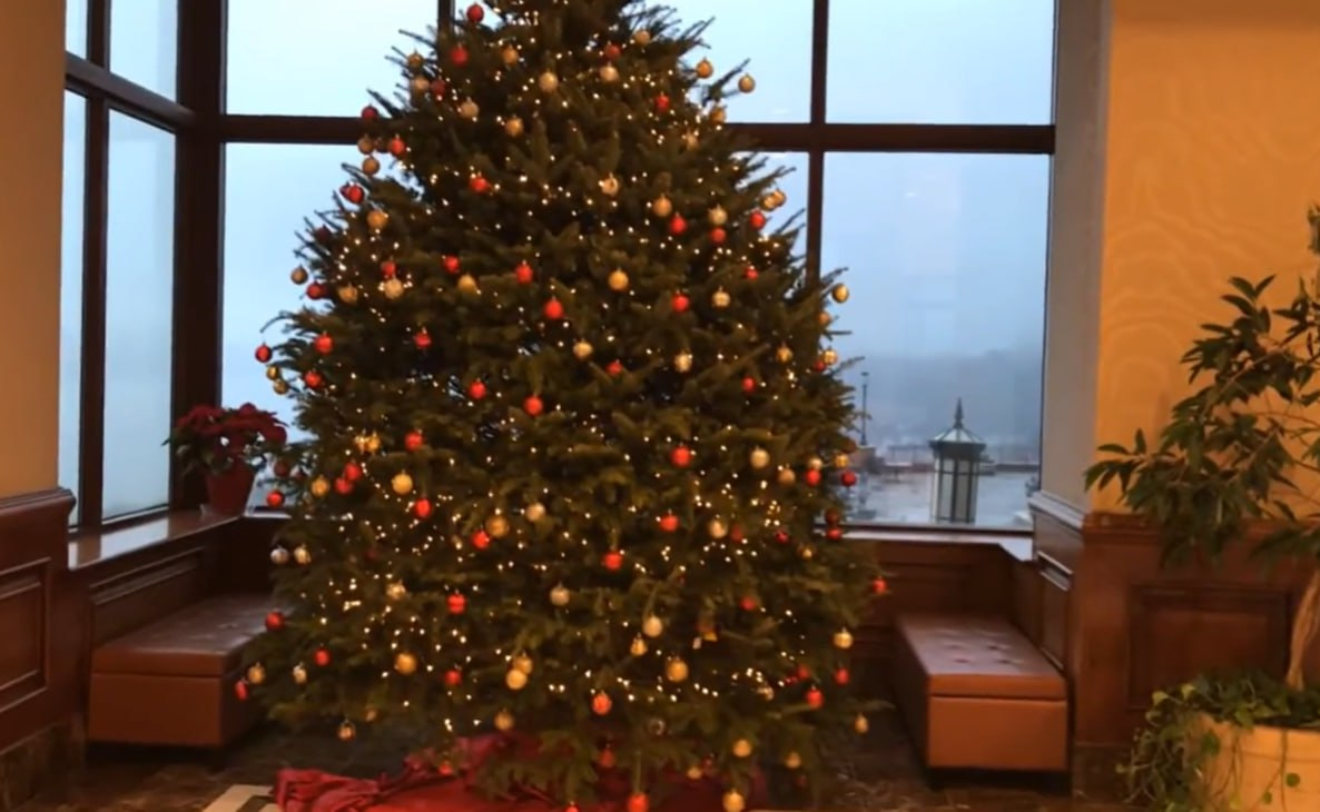 Фото: Prt Scr youtube.com / Irina Brave