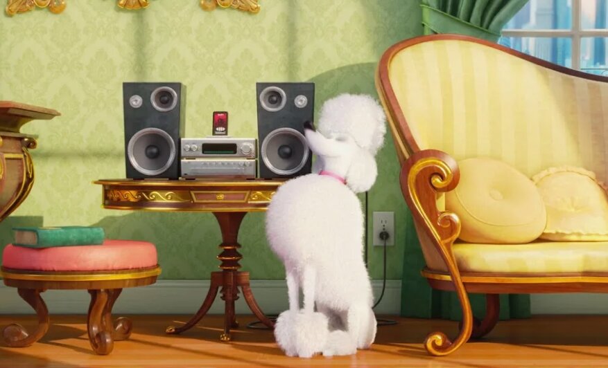    Кадр из мультфильма «Тайная жизнь домашних животных»