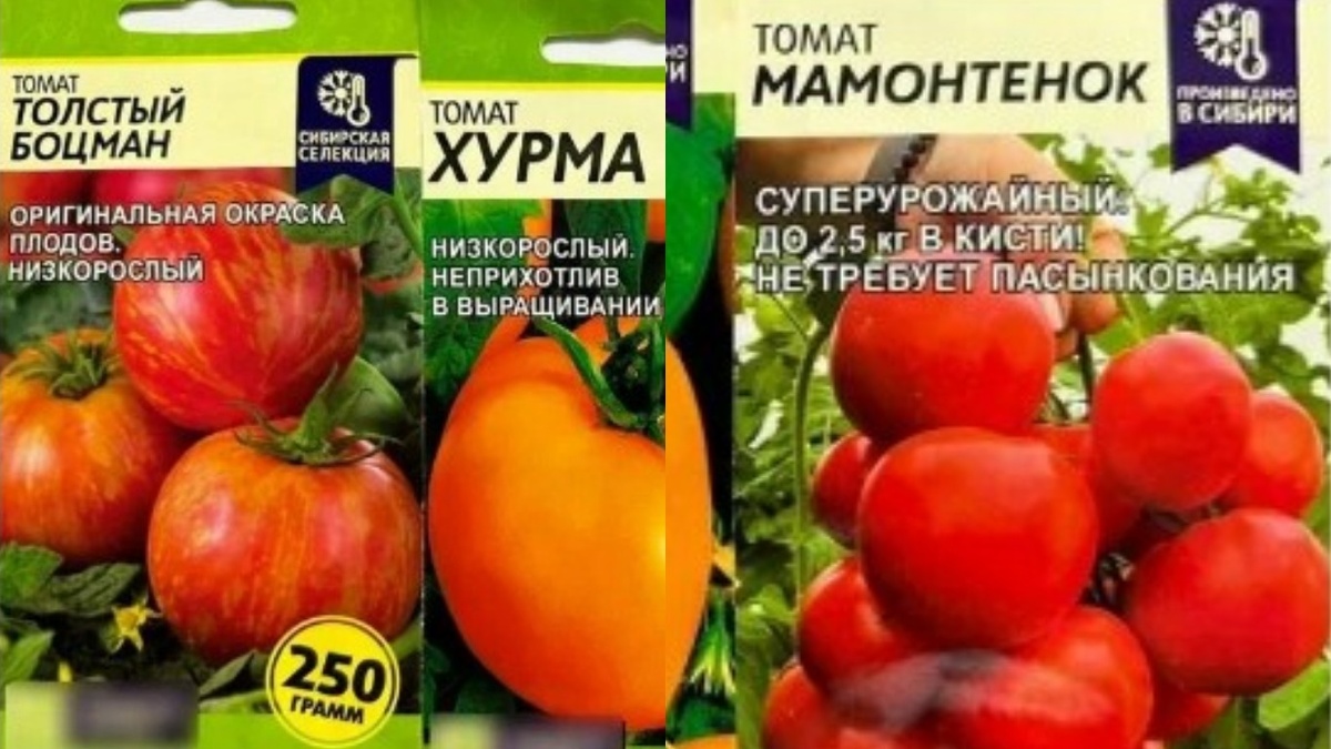  Мой стратегический запас семян проверенных сортов - больше никаких экспериментов