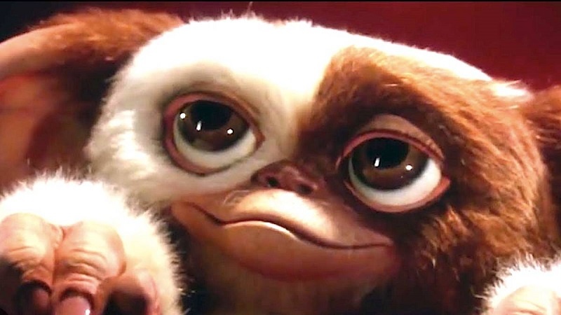 Картинка с интернета. https://yandex.ru/search/?text=%D0%B3%D1%80%D0%B5%D0%BC%D0%BB%D0%B8%D0%BD%D1%8B+%D0%B3%D0%B8%D0%B7%D0%BB%D0%B8&lr=117832&clid=2270455&win=709