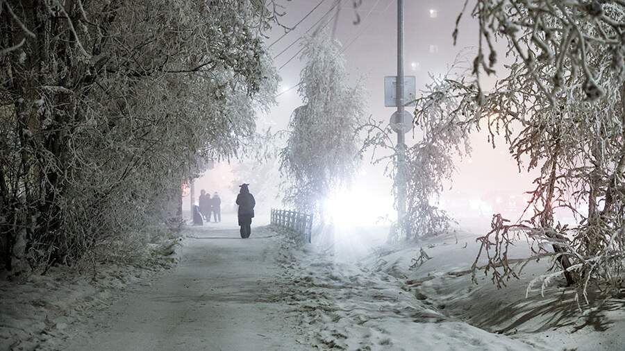    Фото: ТАСС/Вадим Скрябин